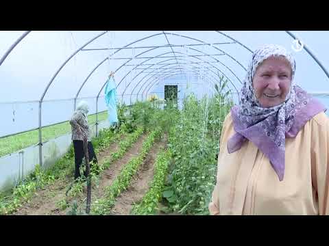 Srebrenica 1995 - 2024, reportaža - 08.07.2024.