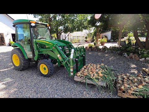 HUGE Harvest of Onions, Potatoes & Strawberries! π§
π₯π// Garden Answer