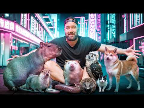 I Went to Every Animal Cafe in Tokyo!