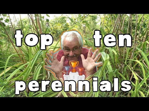 TOP 10 Edible Perennial vegetables and Herbs to plant in your garden or permaculture orchard! (2021)