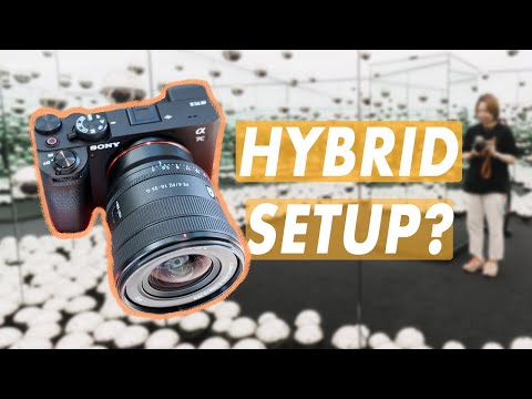 Finding My Own Hybrid Setup: Sony A7Cii + 16-35mm f/4 PZ (Anecdotal Review)