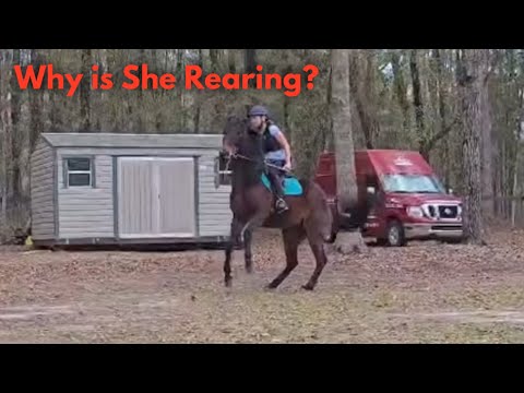 Frustrated Rider is losing Confidence