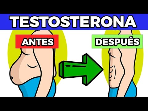 Cómo Aumentar Tu TESTOSTERONA Naturalmente