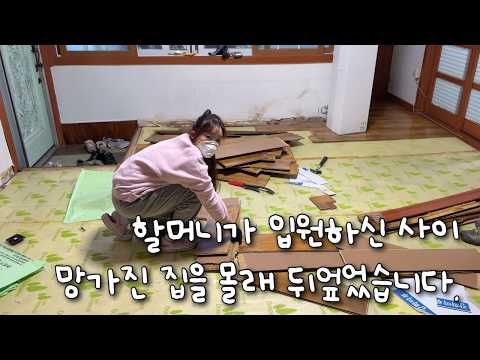 While my grandmother was hospitalized... I tore down a 50-year-old house that was ruined by rats🏚...