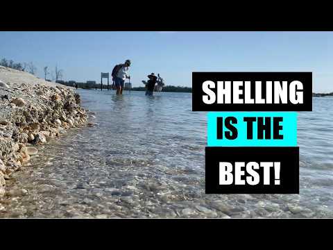 I have the best hobby. Hunting seashell treasures, critters and a bucket list shell find!