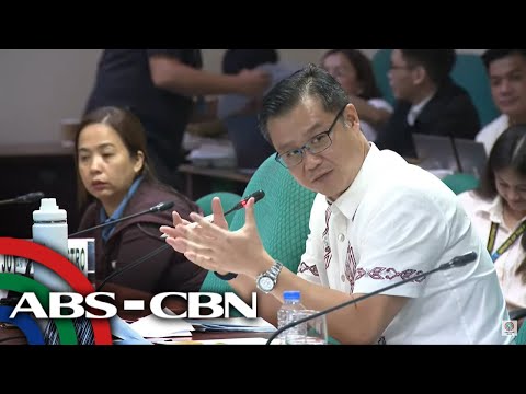 Senate hearing on POGOs alleged involvement in illegal activities | ABS-CBN News