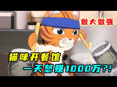 最強貓咪當老闆！用拉麵征服人類，一天怒賺1000萬！一口氣看完《拉麵赤貓》！