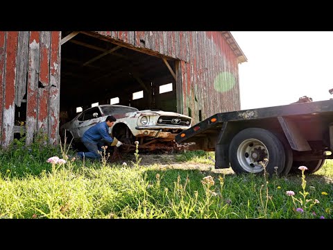 Watch This 1969 Mustang Turn BRAND NEW Again!