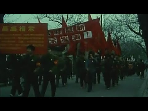 动荡十年，接受歧视接受批斗接受白眼，未来只有一个线头，也要织出毛衣！