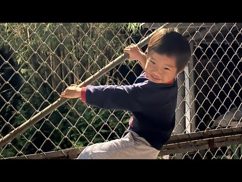 大自然 可以培養整全人格發展 ， 職業技能培養 ，情意自然教育, 兒童自然活動,  善養小孩, 綠色家庭, 自然生活, 食生, 簡樸生活, 天然生活, 青年教育, 減少使用手機, 脫網戒毒