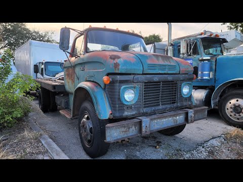 1964 Ford N600 Flatbed Sitting For Years Will It Fire Up? - NNKH