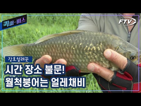 [Full/퀵써-비스]아침에도 저녁에도, 저수지도 강계도 언제 어디서나 강력한 얼레채비! [강호얼레꾼/5회]