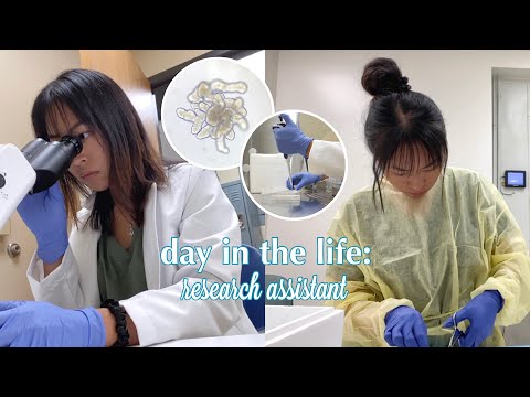 Day in the Life of a Research Assistant