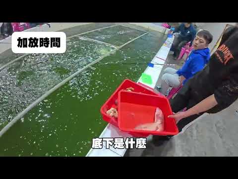 四湖釣蝦場釣龍蝦囉！平衡蹺蹺板釣法！？老闆竟然加碼皇帝石斑！！！