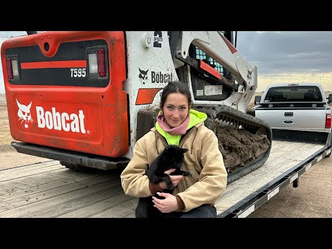 He Finally Got What He Wanted...