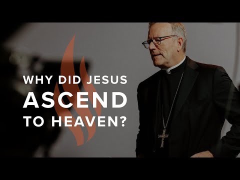 Why Did Jesus Ascend to Heaven? - Bishop Barron's Sunday Sermon