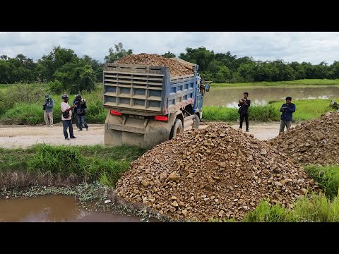 Perform first job !! Operator filling Massive land using dump truck & Powerful Dozer