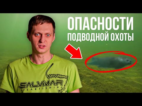 ОПАСНОСТИ, КОТОРЫЕ НАС ПОДЖИДАЮТ! Техника безопасности на подводной охоте — Часть 2