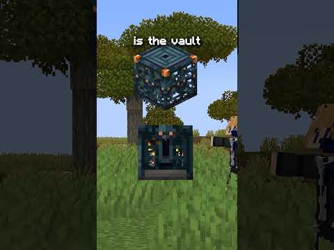 Minecraft Just ADDED a NEW Block!!!