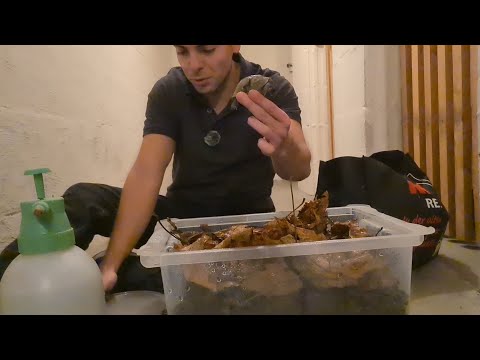 Persönliches Abschiedsvideo vom Jahr 2025