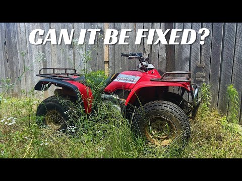 Will this Forgotten HONDA FOURTRAX 300 Run Again?