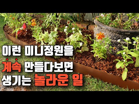 정원만들기가 막막하다면 미니정원으로 시작해보세요
