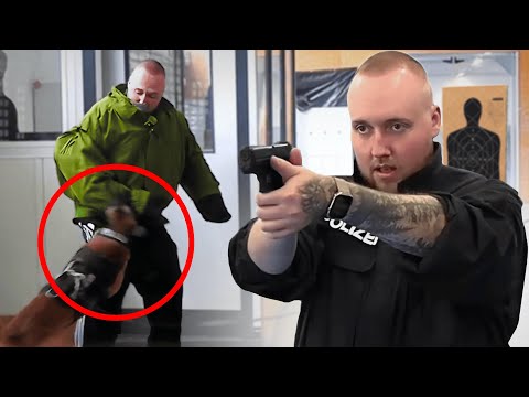 ZARBEX & SCHRADIN machen PRAKTIKUM bei der POLIZEI 👮‍♂️🚨 | POLIZEIHUND ANGRIFF | FESTNAHME ESKALIERT