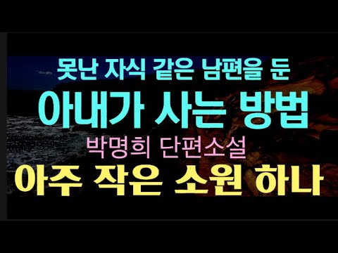 [오디오북] 며느리가 큰맘먹고 시아버지를 찾아가는 그 몇 시간... 드디어 도착을 하긴 했는데... 박명희 단편소설 - 아주 작은 소원 하나