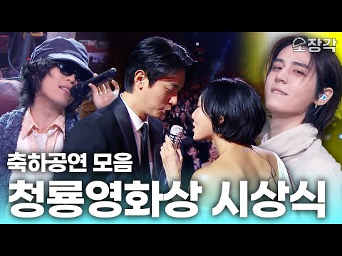 도파민 폭발의 현장이 된 청룡🏆 레전드 감다살이었던 청룡영화상 시상식 축하공연 모음집 | KBS 251119 방송