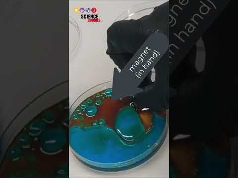 Clean oil and microplastics from waterways simultaneously! #oilspill #waterways #greenchemistry