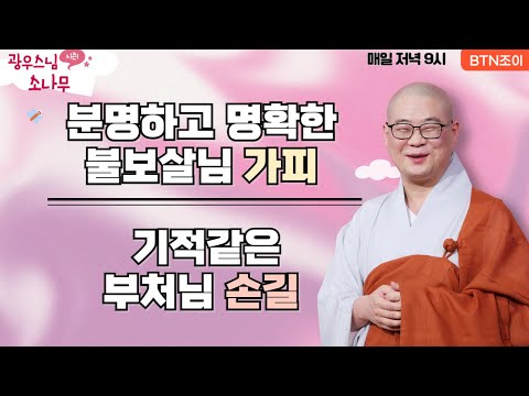 분명하고 명확한 불보살님 가피ㅣ기적같은 부처님 손길 ㅣ광우스님의 소나무 2편 모아보기