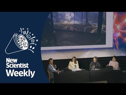 Most amazing science stories of 2024 | Live at the Science Museum