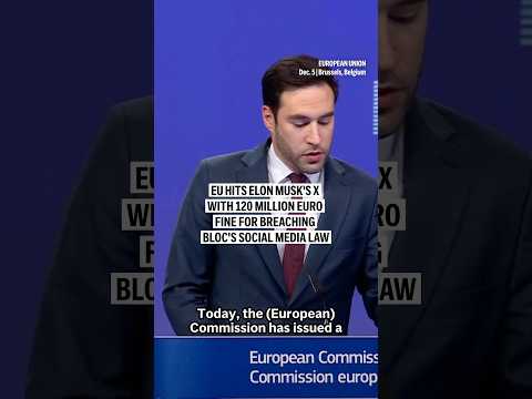 EU hits Elon Musk's X with 120 million euro fine for breaching bloc's social media law