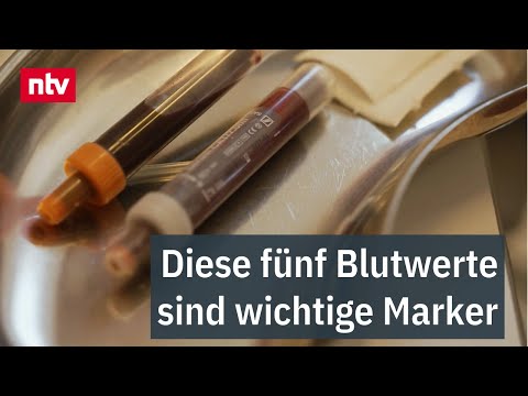 Diese fünf Blutwerte sind wichtige Marker: Regelmäßiger Gesundheits-Check