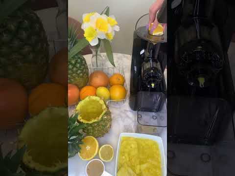 The Best Electric Pasta Machine [2026 Review]
