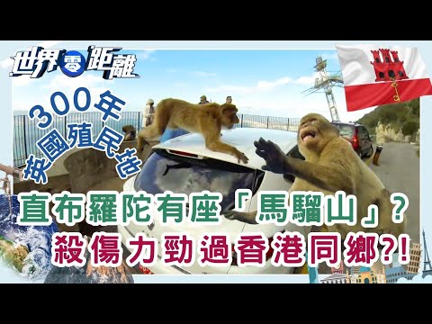 直布羅陀英屬殖民地的堅持 為何拒絕回歸西班牙？地小人多的生存之道 | 世界零距離 | TVB | 資訊節目 | 方東昇