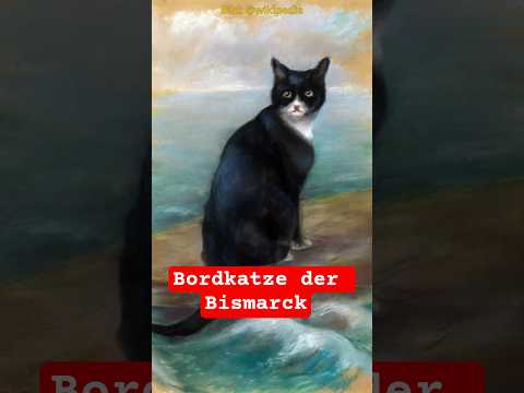 Tierischer Unglücksbringer: Die Bordkatze der Bismarck