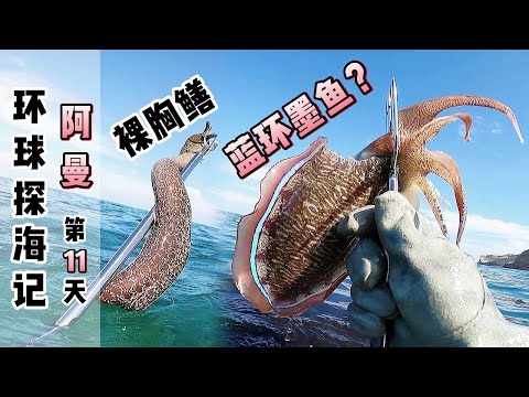 《环球探海记》阿曼~第11天：今天潜水赶海碰到的海货、怎么都这么凶猛！
