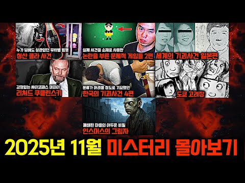 미스터리, 범죄, 사건 사고.. 2025년 11월의 미스터리 영상 몰아보기 [미스터리]