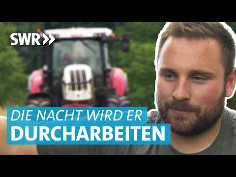 Ist die Getreideernte in Gefahr? Landwirt kämpft mit Lohnarbeit, Getreide und Kühen ums Überleben