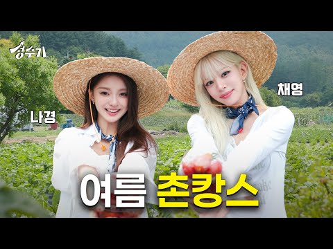 시골로 떠난 프로미스나인? 두 도시 Girl 나경 채영의 엉망진창 촌캉스 l 리틀포레스트 l 깡촌캉스 l 여름체험  [성수기 EP.5]