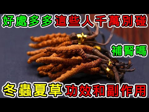 冬蟲夏草是補什麼的？冬蟲夏草的功效和副作用，冬蟲夏草怎麼吃？什麼人不適合吃冬蟲夏草？冬蟲夏草可以補腎嗎？冬蟲夏草什麼時間吃最好？冬蟲夏草不能和哪些食物一起吃？