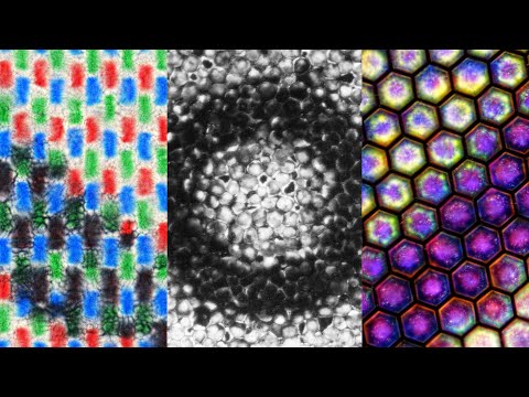 Electronic Paper - See What Happens