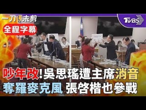 [Full Subtitles] Legislative Yuan in Chaos! A heated argument erupts over pension reform; Wu Si-y...