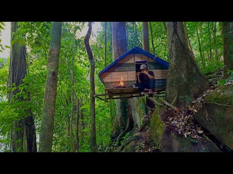 Bikin pondok bambu yang hangat di hutan || 3 hari berkemah sendirian