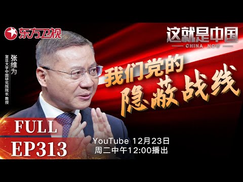 这就是中国 第313期:我们党的隐蔽战线|#隐蔽战线|#沉默的荣耀|#情报工作|#抗战|#张维为|#罗援|#这就是中国|China Now|FULL