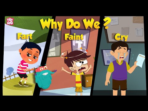 Uncovering the Mysterious Reason Behind Our Bodies | Human Body | The Dr Binocs Show | Peekaboo Kidz