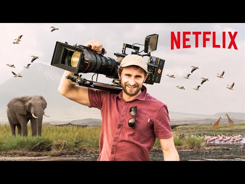 How to Get Started in Wildlife Filmmaking