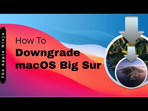 How to Downgrade from Big Sur to Catalina