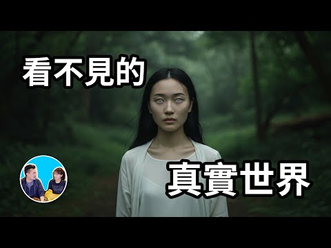 有一個東西阻擋在我們與真相之間，讓我們無法看清這個世界 | 老高與小茉 Mr & Mrs Gao